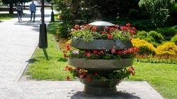 В Новоселицком округе планируют благоустроить две общественные территории