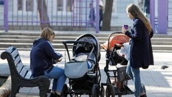 На Ставрополье в рамках регпроекта выделили порядка пяти миллиардов рублей для многодетных семей