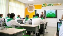 Три агрокласса откроют в школах Новоселицкого округа