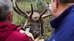 Для диких животных на Ставрополье сделают площадки для подкормки