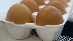 Субсидии на реализацию яиц выплатили ставропольским аграриям