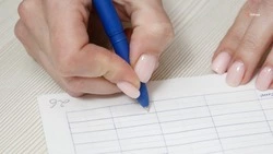 44 соцконтракта заключат в Новоселицком округе в 2026 году 