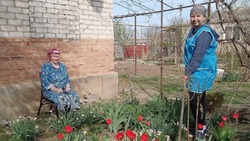 Волонтёры Новоселицкого округа помогли с уборкой одиноким пенсионерам