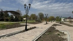 Благоустройство парковой зоны в Новоселицком завершат к середине лета