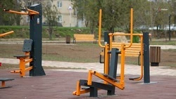 Спортплощадку с тренажёрами установят в новоселицком парке