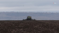 Новоселицкий округ завершил сев яровых