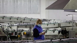 Ставрополье отправило 472 тонны мясных консервов в Таджикистан