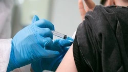 Минздрав Ставрополья: Бороться с аллергией помогает специфическая иммунотерапия