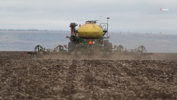 Озимые культуры займут 73,1 тыс. га полей Новоселицкого округа