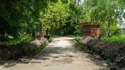 Благоустройство парка проходит в селе Новоселицкого округа