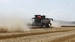 Аграрии Ставрополья получат 5,6 млрд рублей господдержки
