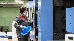 В Новоселицком округе реализуют инвестпроект в сфере экономики