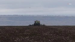 Новоселицкий округ завершил сев яровых