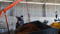 Аграрии Ставрополья могут получить господдержку перед проведением сева